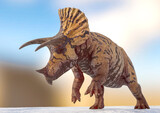 triceratops attacking on snow background side view