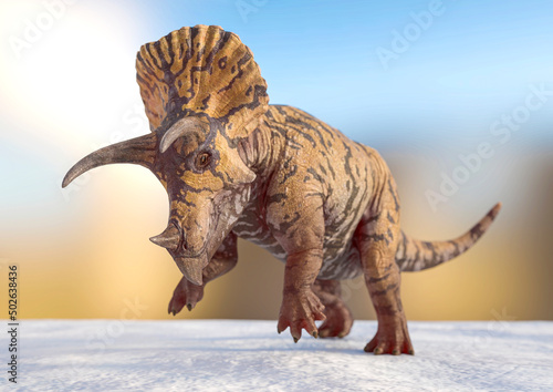 triceratops attacking on snow background © DM7