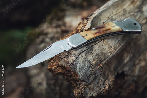 фотографія Forest sharp knife in pine tree
