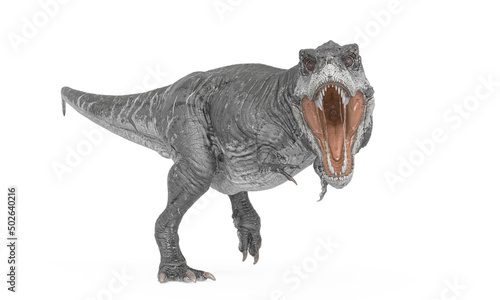 tyrannosaurus rex is mad in white background