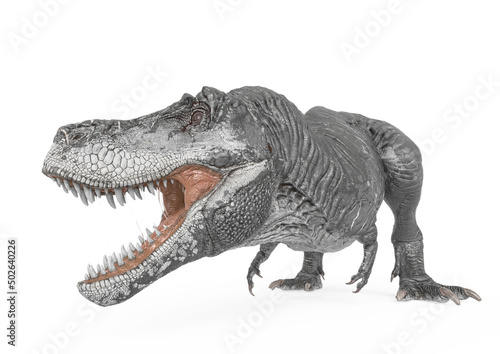 tyrannosaurus rex is looking to the side in white background © DM7