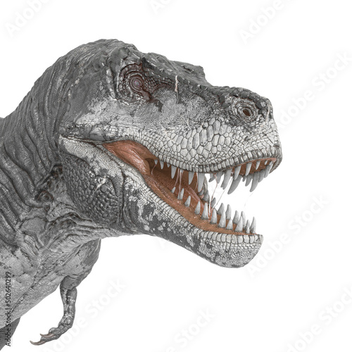 id portrait of a tyrannosaurus rex in white background