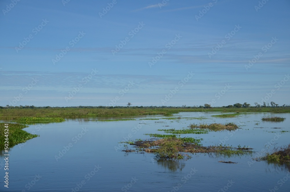 pantanal 4