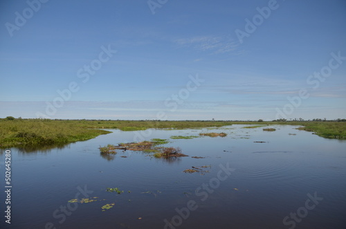 pantanal 3