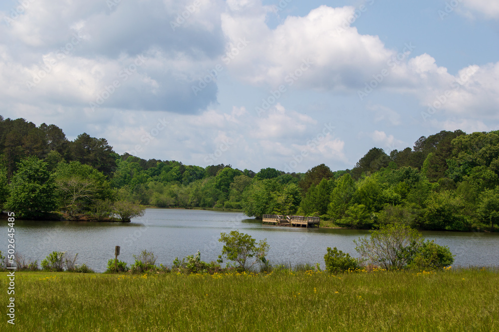 Lake at Little Mulberry Park, GA in Springtime