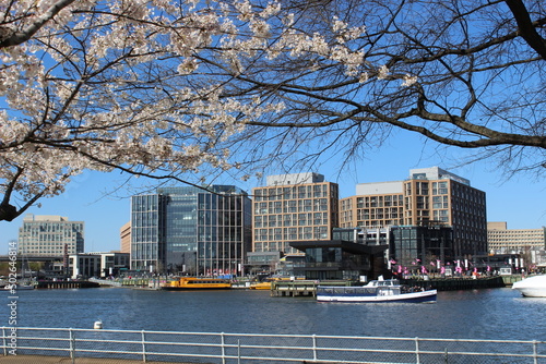 Sunny Washington DC Skyline Cherry Blossoms The Wharf