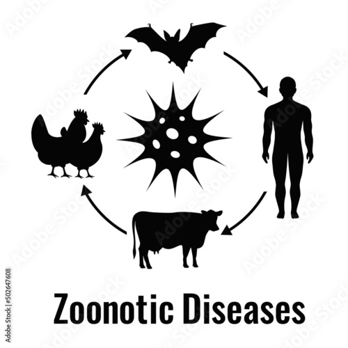 Zoonotic disease vector illustration photo