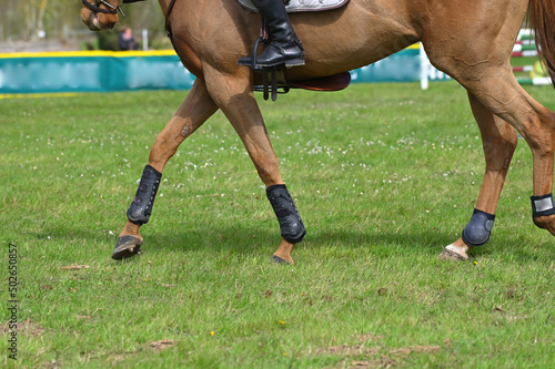 pattes de cheval de concours © compagnie-17