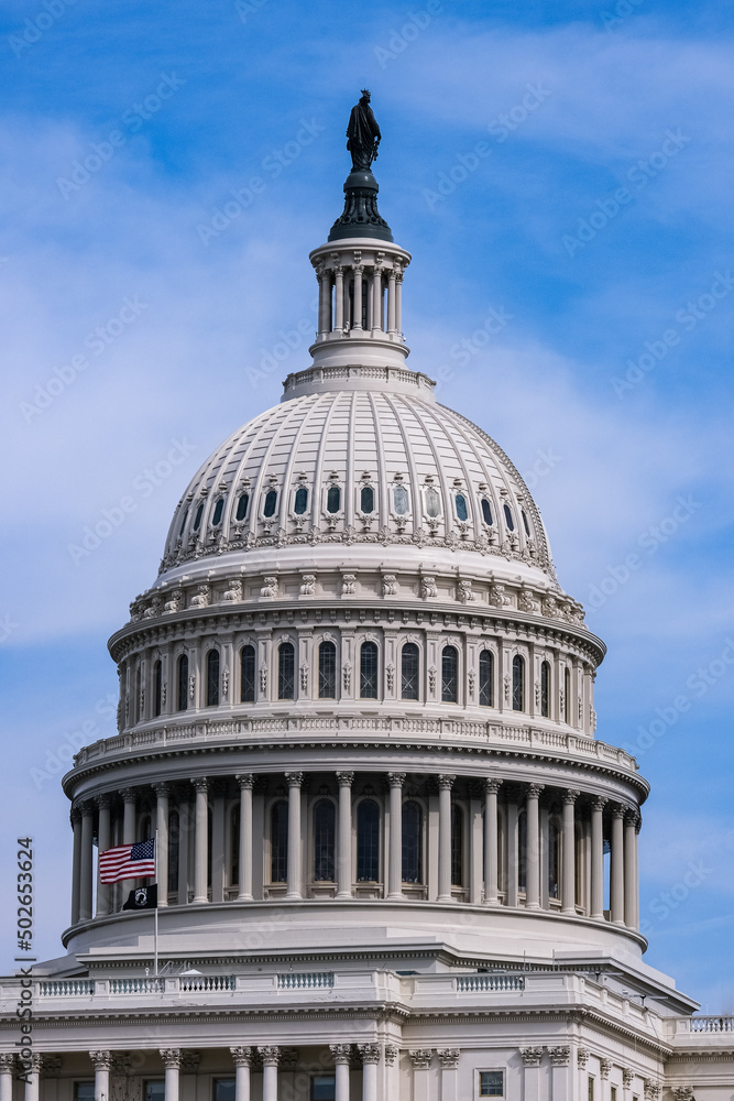 Obraz premium Capitol Dome and Flags Washington DC