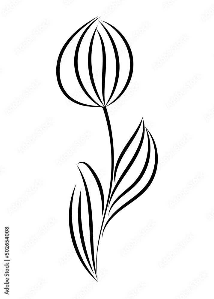 Obraz premium Vector linear simple botanical poster. Abstract art lines, wall paintings, flowers, leaves, plants. Modern design, doodle shapes, cover template, printing of T-shirts, postcards, banners and more.