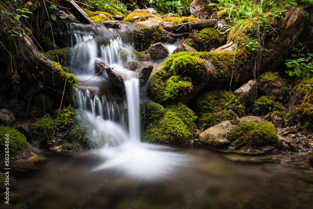 little waterfall in the forest