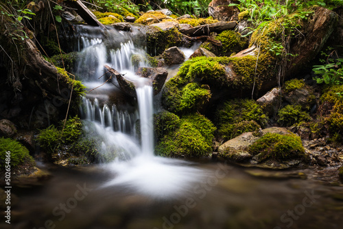 Fototapeta Naklejka Na Ścianę i Meble -  little waterfall in the forest