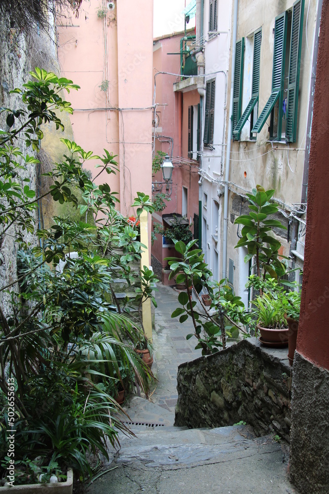 Hiking the Cinque Terre | Vernazza alleyways