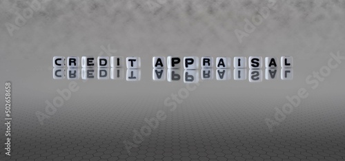 credit appraisal word or concept represented by black and white letter cubes on a grey horizon background stretching to infinity
