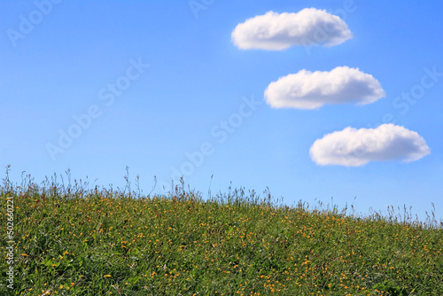 Drei kleine weiße Wolken über einer Sommerwiese am blauen Himmel photo