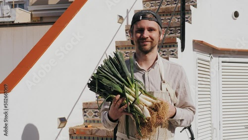 Chef man hold traditional green calcots onion, Spanish Catalan spring barbecue dish.  photo