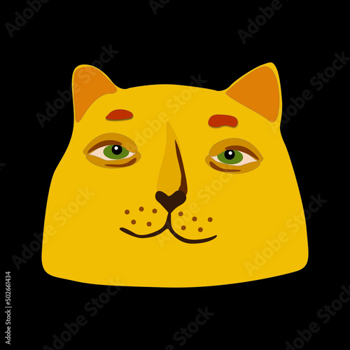 cat on a black background
