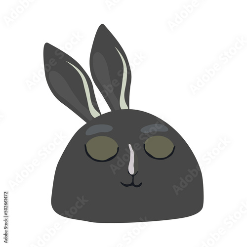 black rabbit isolated on white