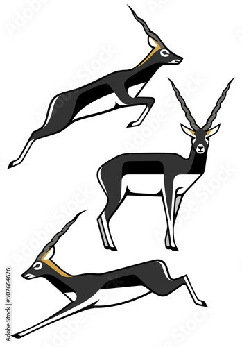 Stylized Animals - Blackbuck