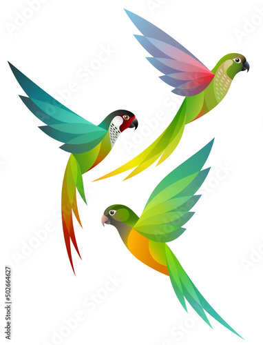Stylized Birds - Parakeets in flight
