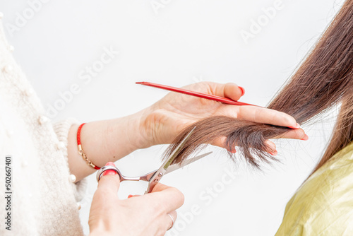 catting hair ends. Hairdresser cut clients hairs