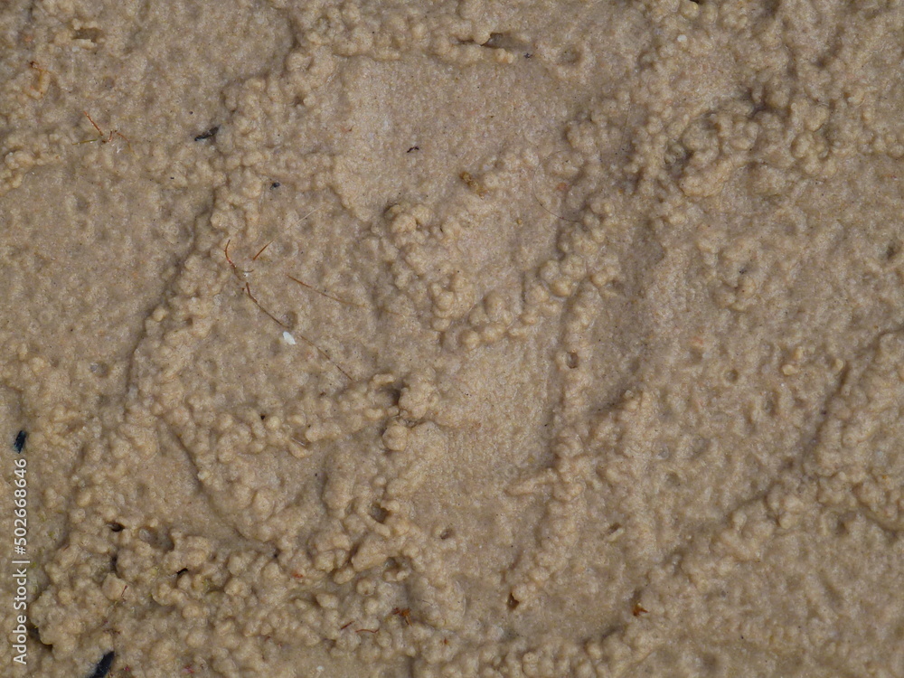 sand sand