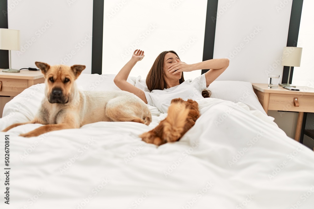 Young hispanic woman waking up stretching arms lying on bed with dogs at bedroom