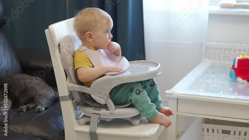 Child and cat peaceful coexistence in the family, one year old baby sitting in booster seat with feeding tray fixed on top of dining chair. High quality 4k footage