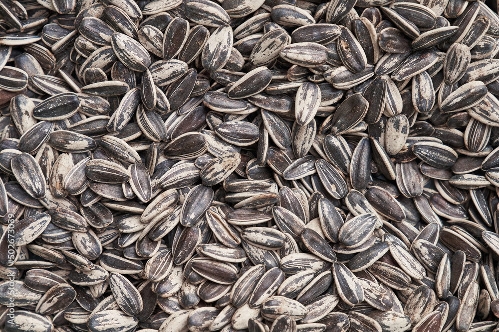 Beautiful sunflower seeds image