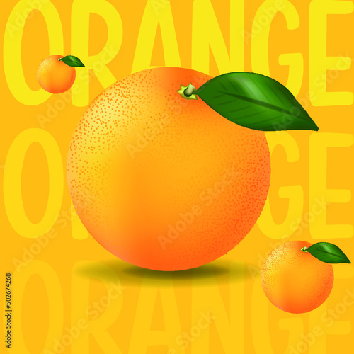  orange fruit illustration © PabloMartin