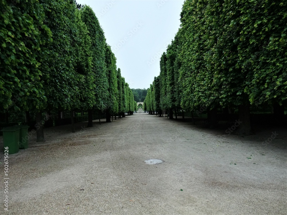 ウイーン　シェーンブルン宮殿の庭園