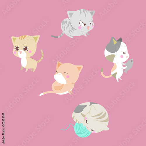 Cute cats who get angry, surprised, and sleep happily