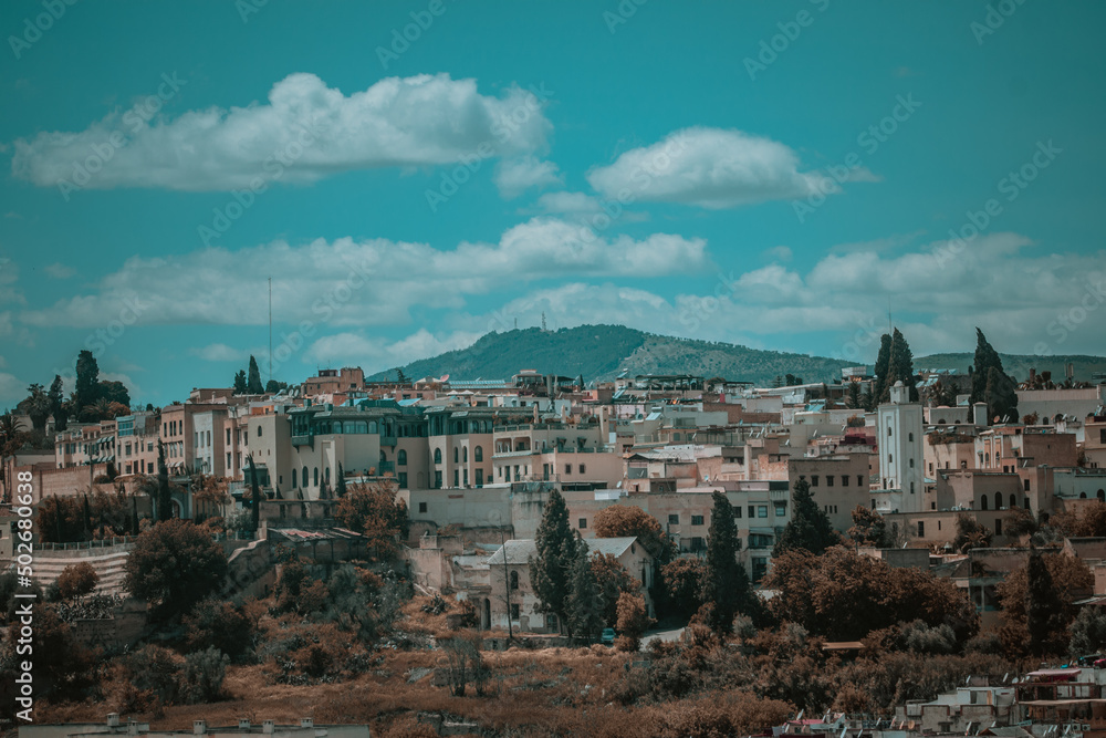 Panorama view of the Old medina Fez city