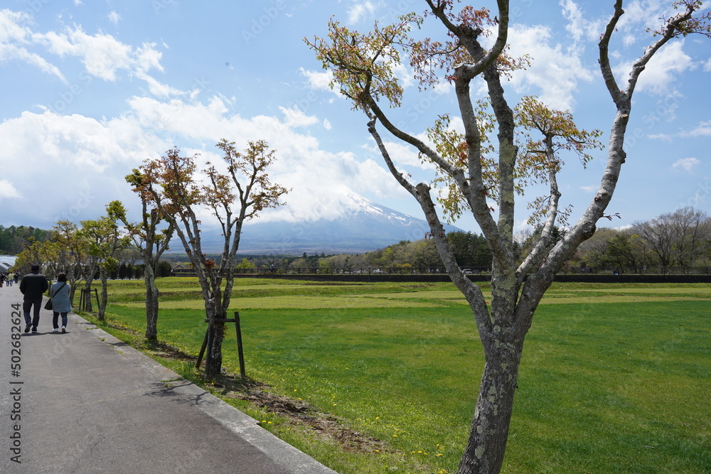 植物と空