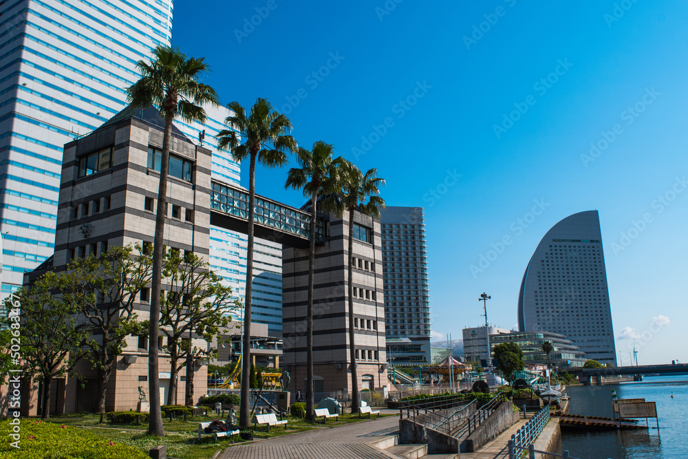 日本丸メモリアルパークのタワー棟C及びDと高層ビル 日本丸メモリアルパークのタワー棟C及びDと高層ビル