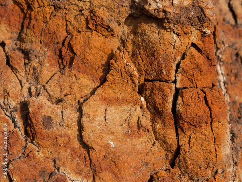 Sedimentary rocks with a high content of iron oxide. Red soil, loam. The texture of the soil. Sedimentary rocks with a high content of iron oxide. Red soil, loam. The texture of the soil.
