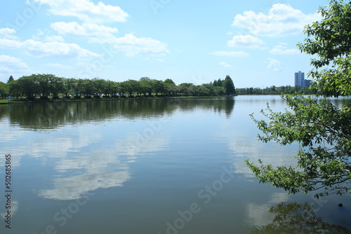 公園 風景