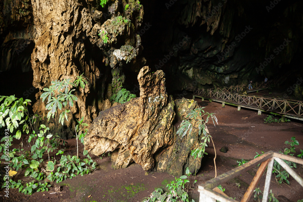 Cueva de las Lechuzas Tingo María la sierra medio del paisaje y montañas de la selva Cueva de las Lechuzas Tingo María la sierra medio del paisaje y montañas de la selva