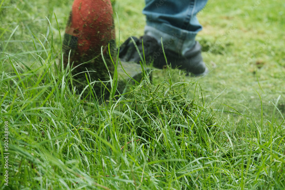 Close-up shot of male worker in jeans maintenance garden using an electric lawnmower to trim overgrown green grass in the lawn yard, scattering the grass in summer, outdoor landscaping work service. Close-up shot of male worker in jeans maintenance garden using an electric lawnmower to trim overgrown green grass in the lawn yard, scattering the grass in summer, outdoor landscaping work service.