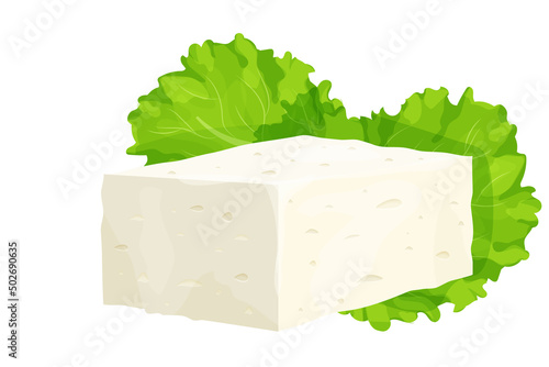 Feta cheese piece in cartoon style detailed ingredient isolated on white background. Greek curd white cheese made from sheeps milk or milk bean. 