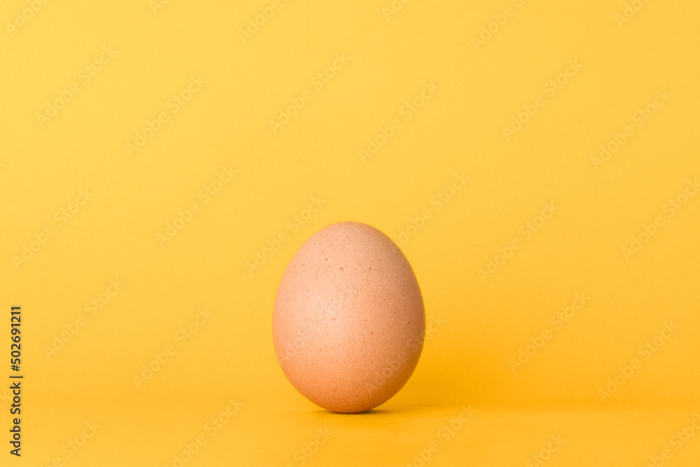 Egg on yellow background Egg on yellow background