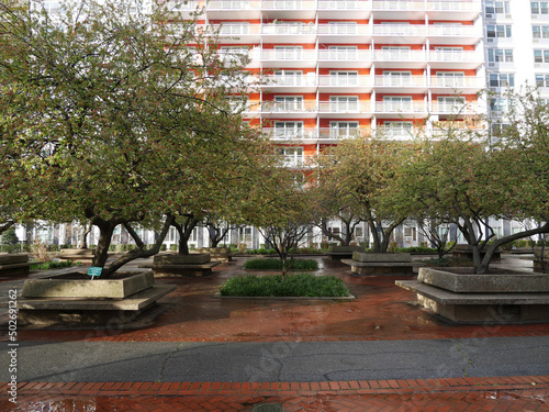 park in the city