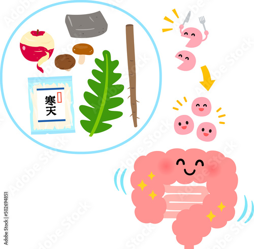 水溶性食物繊維を含む食品と善玉菌と腸