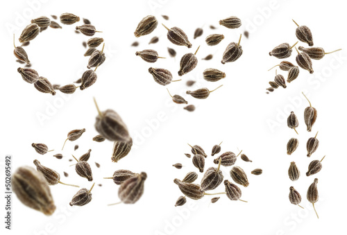 A set of photos. Anise seeds levitate on a white background © butenkow