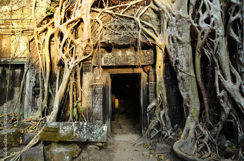 Angkor Wat temple complex, Cambodia. Beautiful view of the ruins of the ancient TA Prohm temple