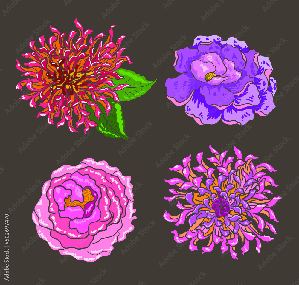 Set of flower vector for painting on background.Peony for printing on curtain.Traditional Asian floral illustration for embroidery style.chrysanthemum vector.Beautiful line art for summer. Set of flower vector for painting on background.Peony for printing on curtain.Traditional Asian floral illustration for embroidery style.chrysanthemum vector.Beautiful line art for summer.