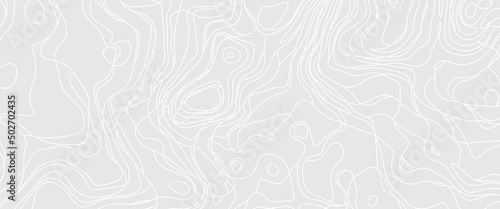 White wave paper curved reliefs abstract background, Abstract topographic contours map, Topography map background. Vector geographic contour map. Abstract topographic contours map background.