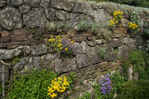 ozdoba muru z kamienia