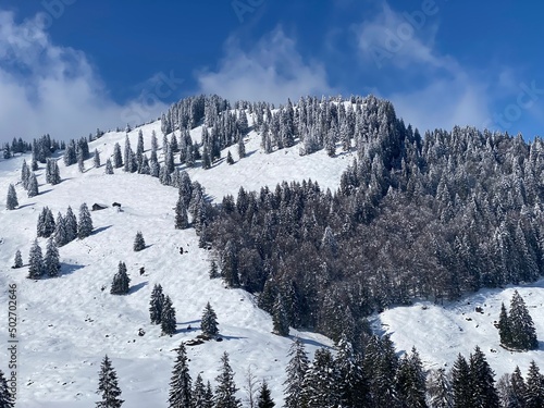 Fairytale alpine winter atmosphere and snow-capped alpine peak Chli Stockberg (1597 m) in the Alpstein mountain massif, Nesslau - Obertoggenburg region, Switzerland (Schweiz) photo