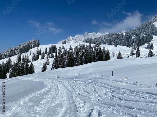 Wonderful winter hiking trails and traces on the slopes of the Alpstein mountain range and in the fresh alpine snow cover of the Swiss Alps, Nesslau - Obertoggenburg, Switzerland (Schweiz)